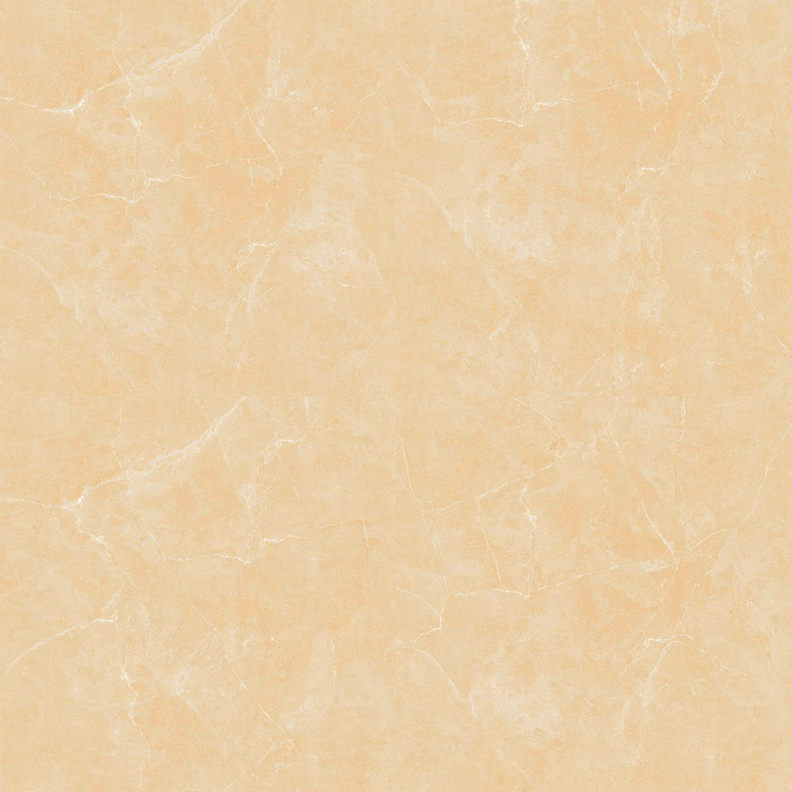 Gach-Lot-Nen,-Op-Tuong-Thanh-Long-Ga103699,-Viet-Nam