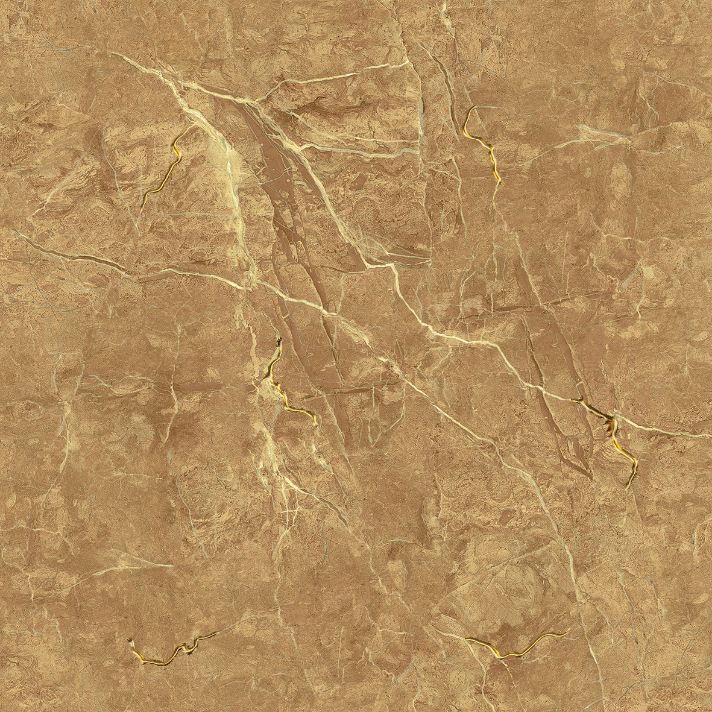 Gach-Lot-Nen,-Op-Tuong-Thanh-Long-Tasa-Ga104304,-Viet-Nam