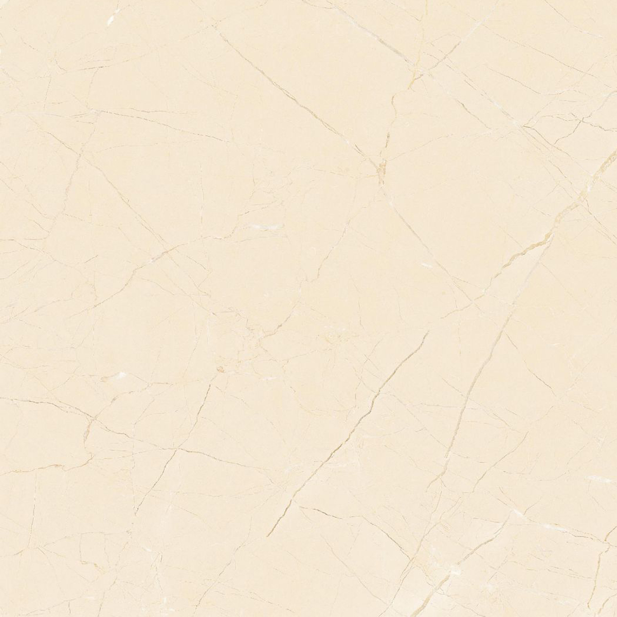 Gach-Lot-Nen,-Op-Tuong-Vitto-Ga101685,-Viet-Nam