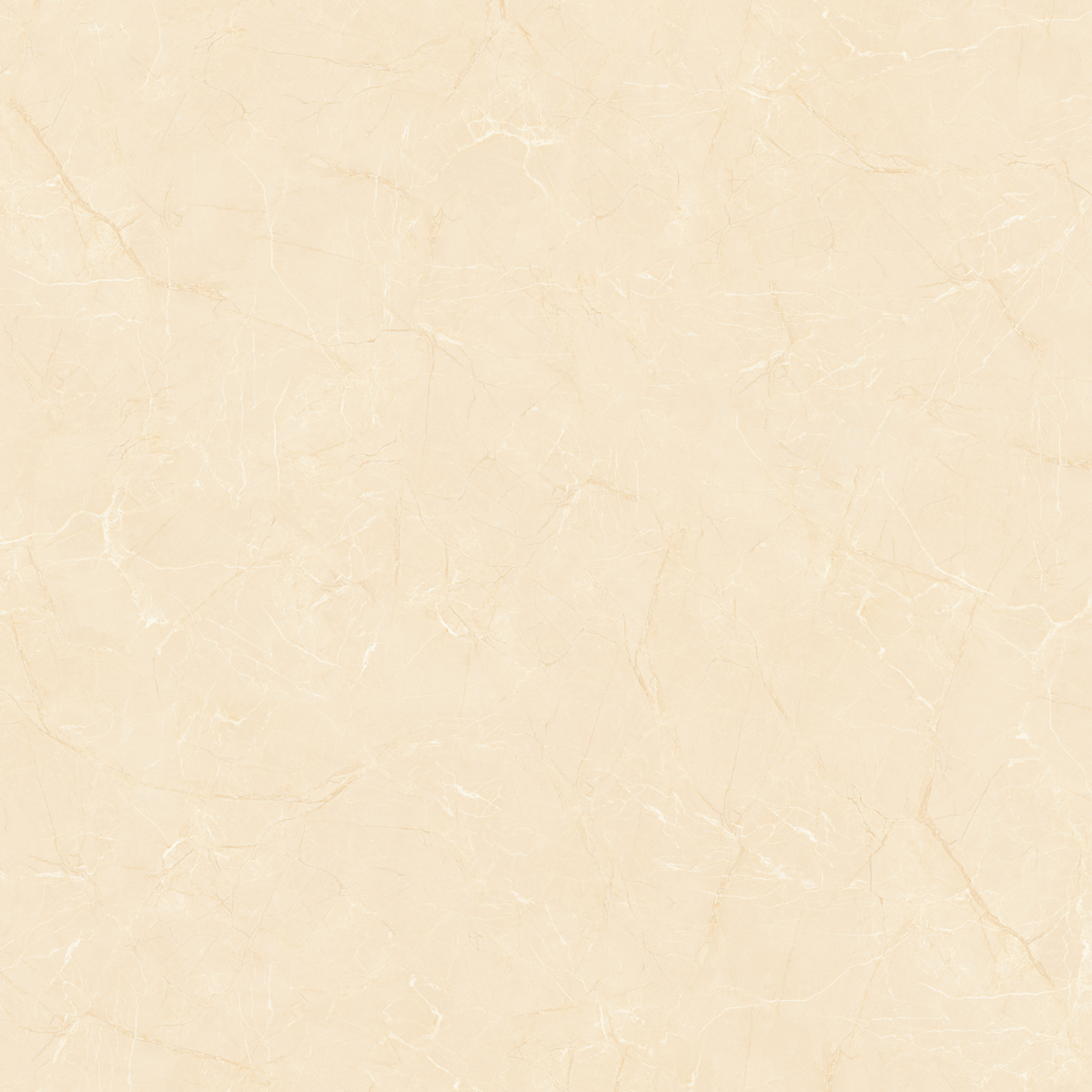 Gach-Lot-Nen,-Op-Tuong-Vitto-Ga101686,-Viet-Nam