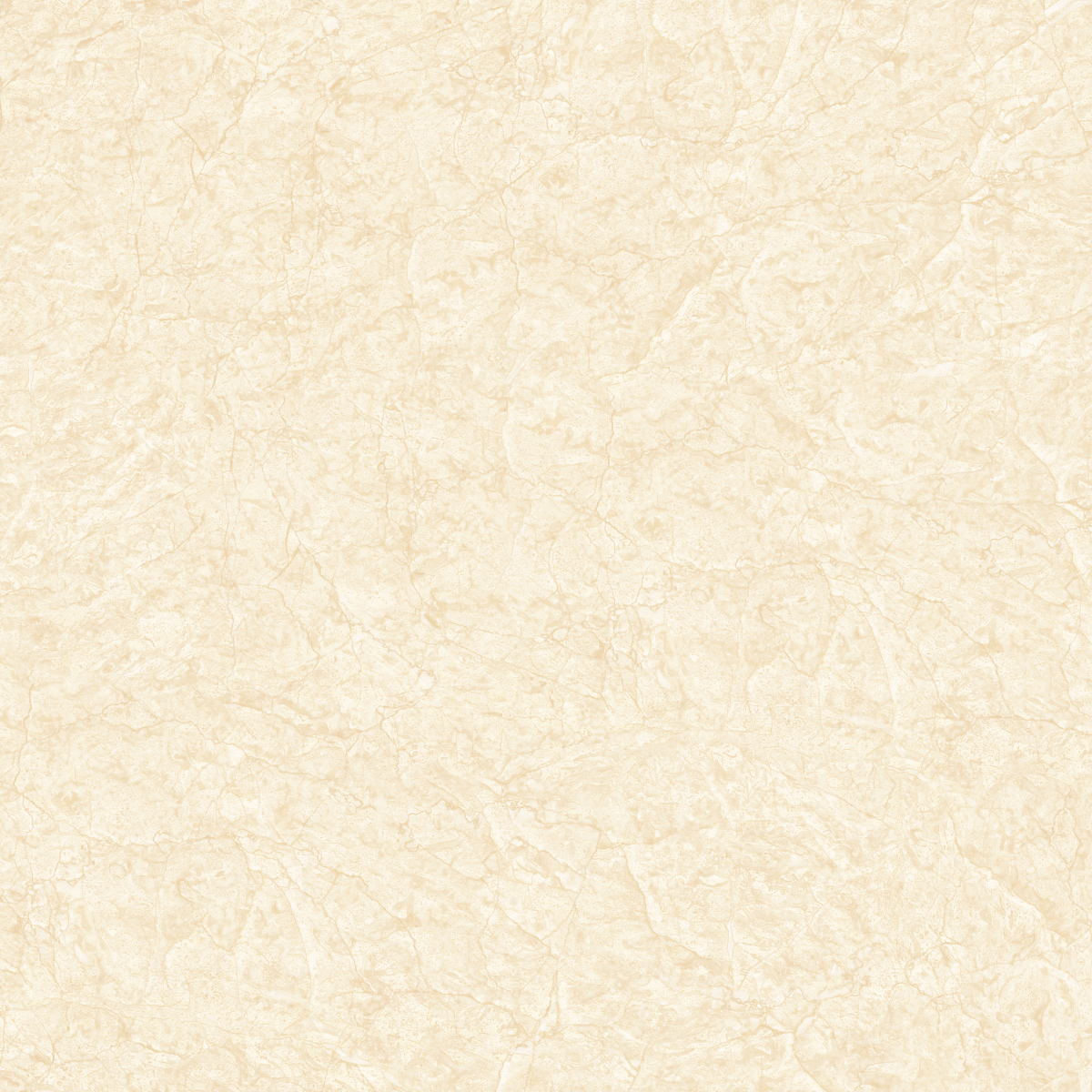 Gach-Lot-Nen,-Op-Tuong-Vitto-Ga101687,-Viet-Nam