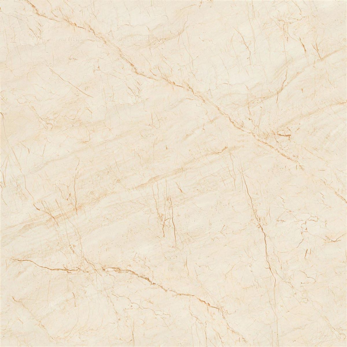 Gach-Lot-Nen,-Op-Tuong-Vitto-Ga101689,-Viet-Nam