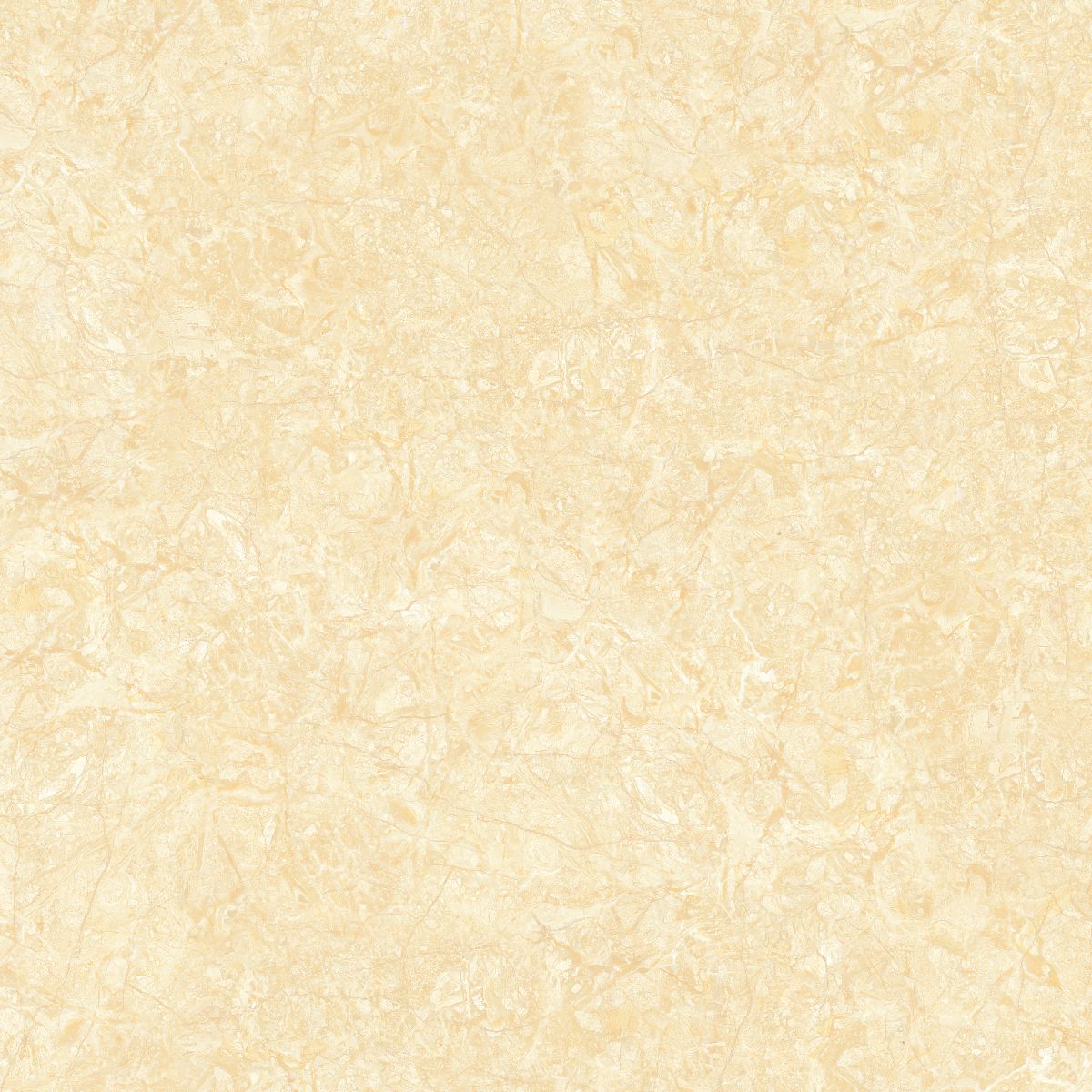 Gach-Lot-Nen,-Op-Tuong-Vitto-Ga101701,-Viet-Nam