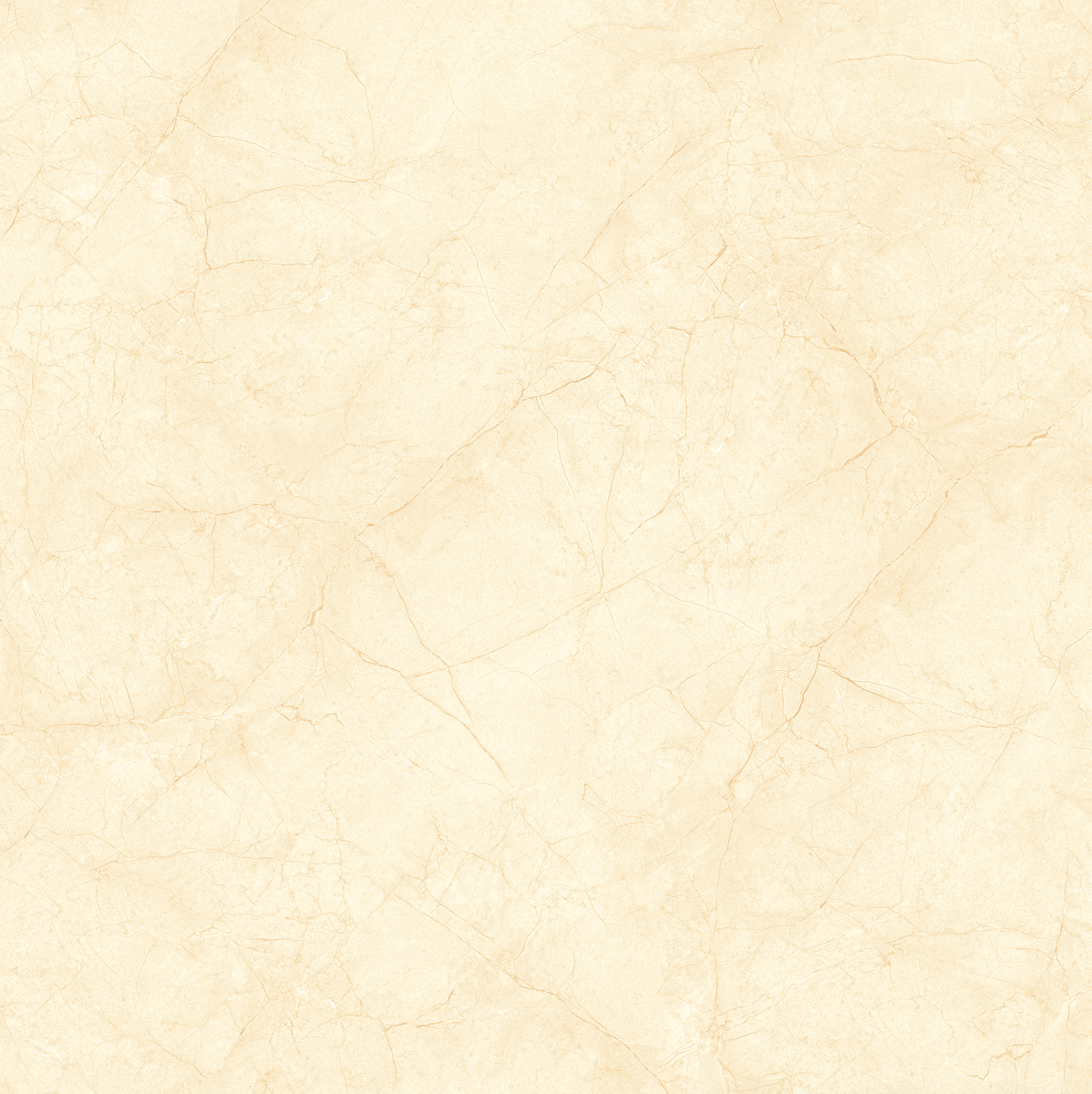Gach-Lot-Nen,-Op-Tuong-Vitto-Ga101721,-Viet-Nam