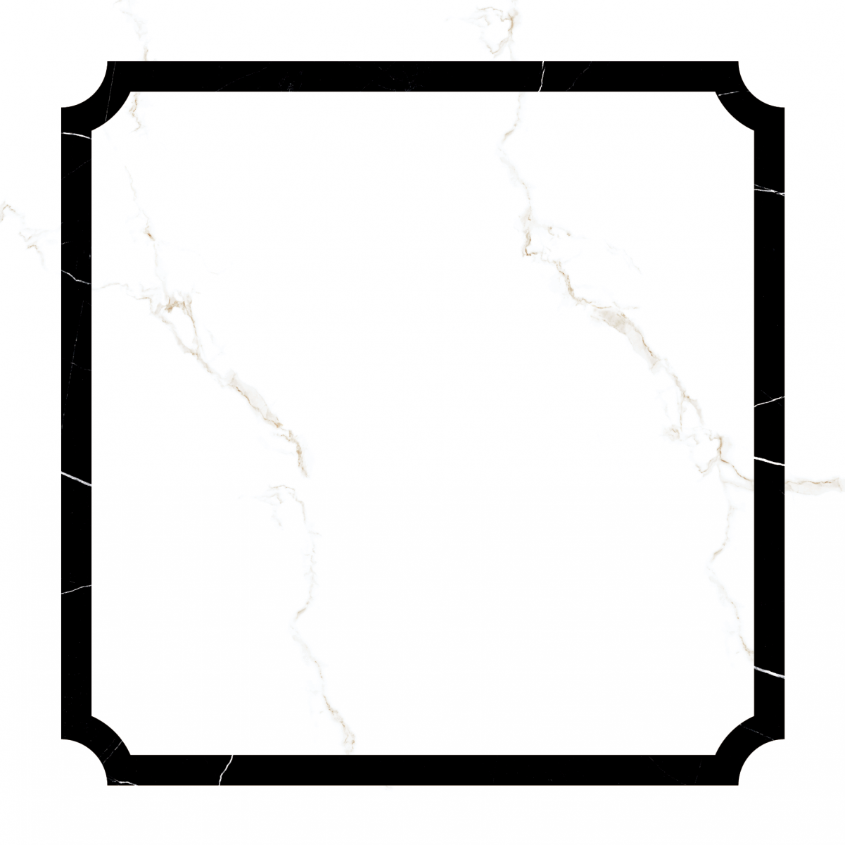Gach-Lot-Nen,-Op-Tuong-Vitto-Ga101736,-Viet-Nam