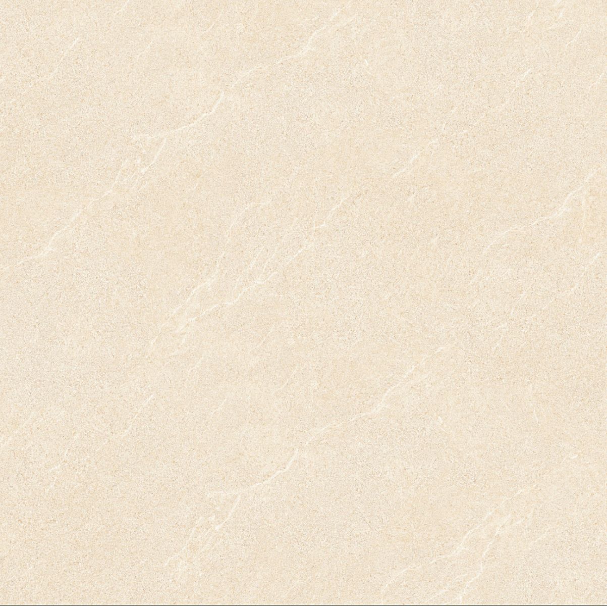 Gach-Lot-Nen,-Op-Tuong-Vitto-Ga101775,-Viet-Nam