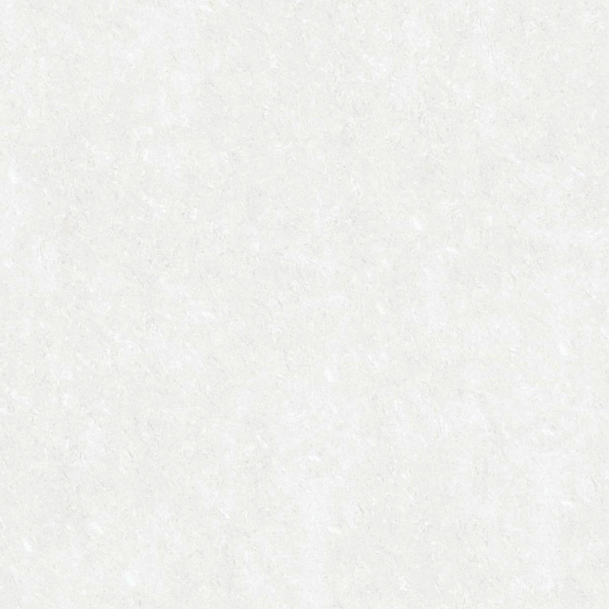Gach-Lot-Nen,-Op-Tuong-Vitto-Ga101419,-Viet-Nam