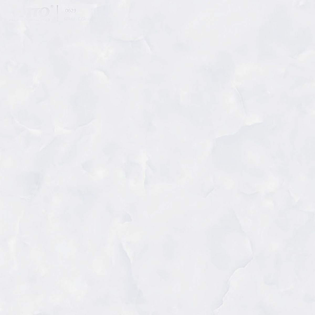Gach-Lot-Nen,-Op-Tuong-Vitto-Ga101426,-Viet-Nam