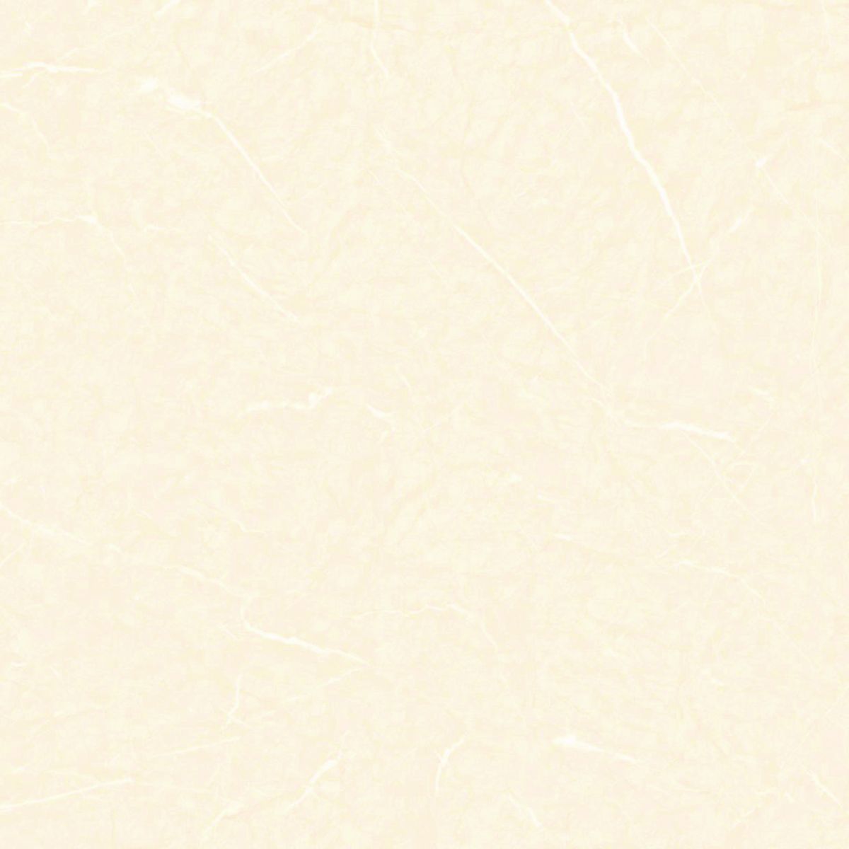Gach-Lot-Nen,-Op-Tuong-Vitto-Ga101449,-Viet-Nam