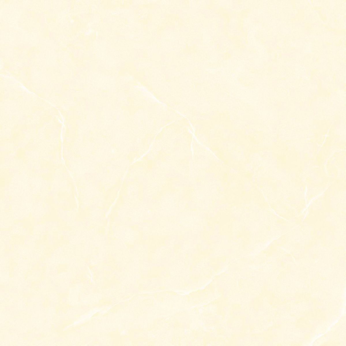 Gach-Lot-Nen,-Op-Tuong-Vitto-Ga101450,-Viet-Nam