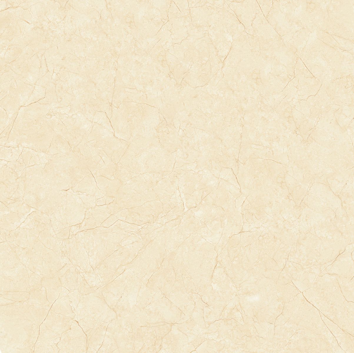 Gach-Lot-Nen,-Op-Tuong-Vitto-Ga101463,-Viet-Nam