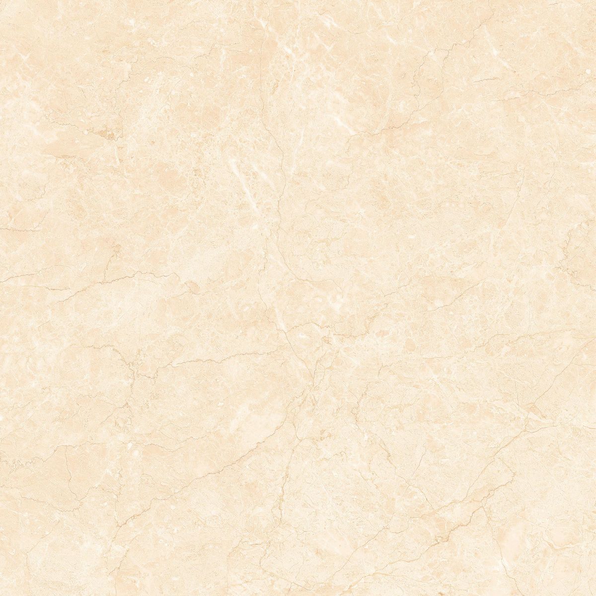 Gach-Lot-Nen,-Op-Tuong-Vitto-Ga101484,-Viet-Nam