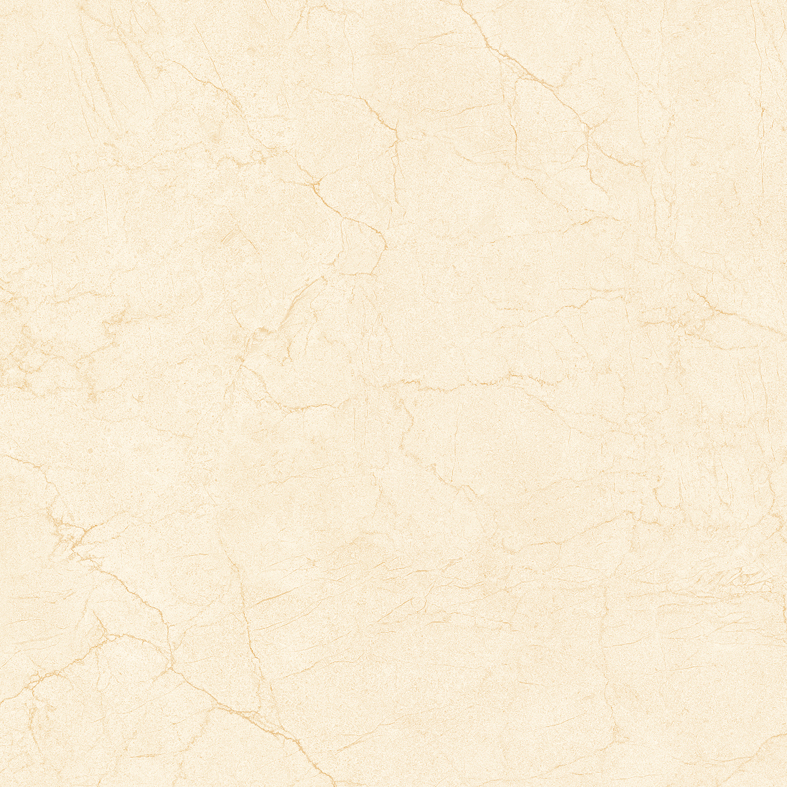 Gach-Lot-Nen,-Op-Tuong-Vitto-Ga101533,-Viet-Nam