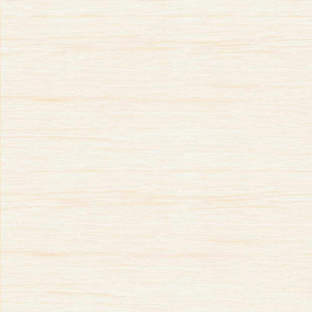 Gach-Lot-Nen,-Op-Tuong-Vitto-Ga101537,-Viet-Nam