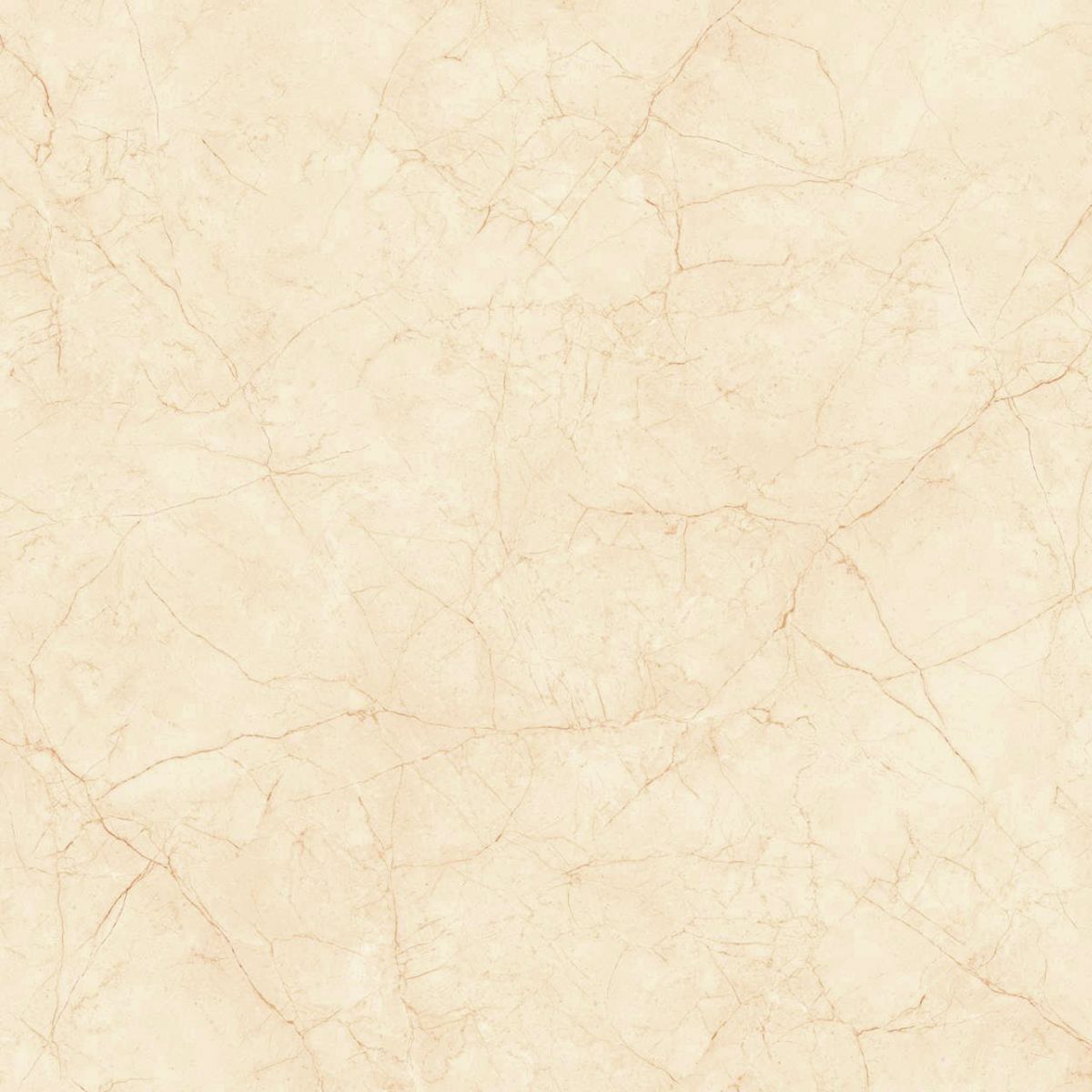 Gach-Lot-Nen,-Op-Tuong-Vitto-Ga101546,-Viet-Nam