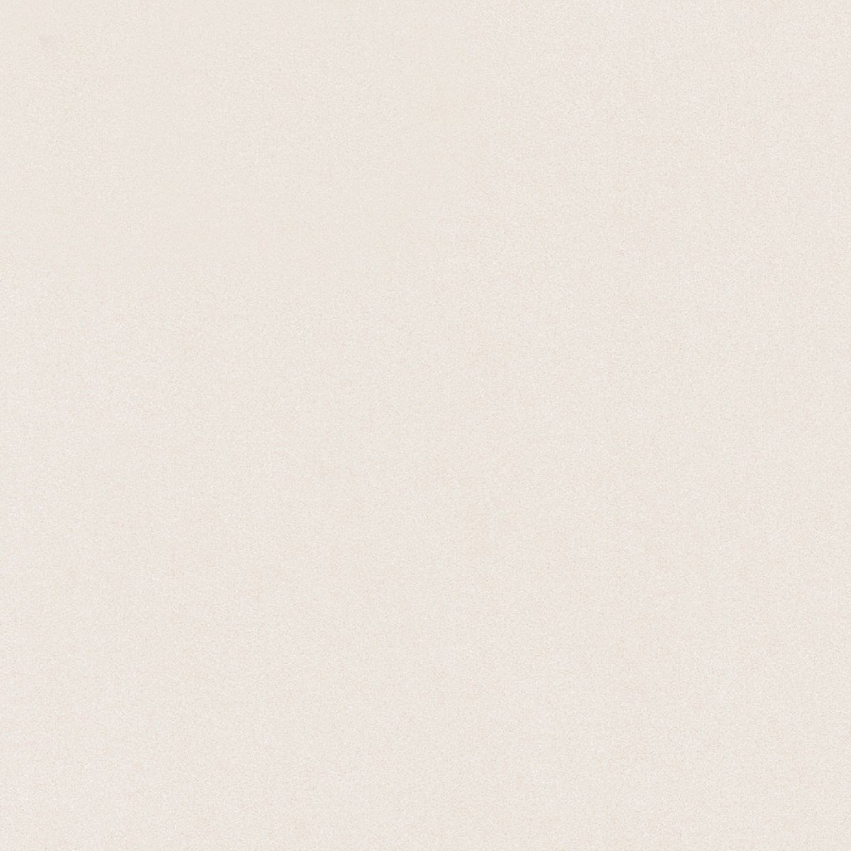 Gach-Lot-Nen,-Op-Tuong-Vitto-Ga101548,-Viet-Nam