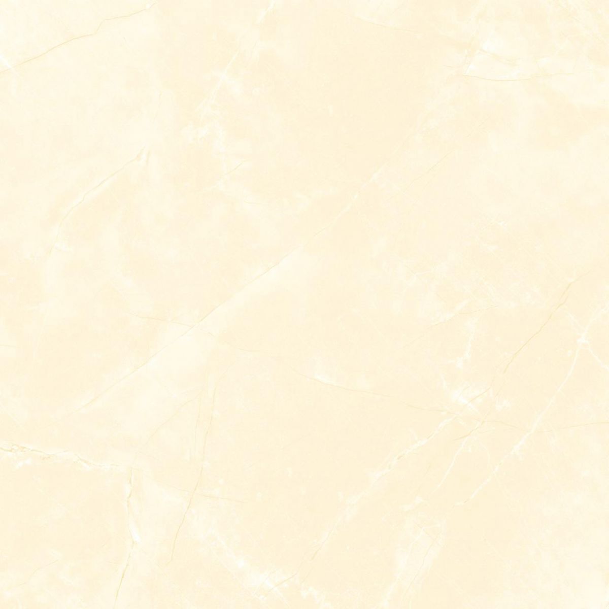 Gach-Lot-Nen,-Op-Tuong-Vitto-Ga101550,-Viet-Nam