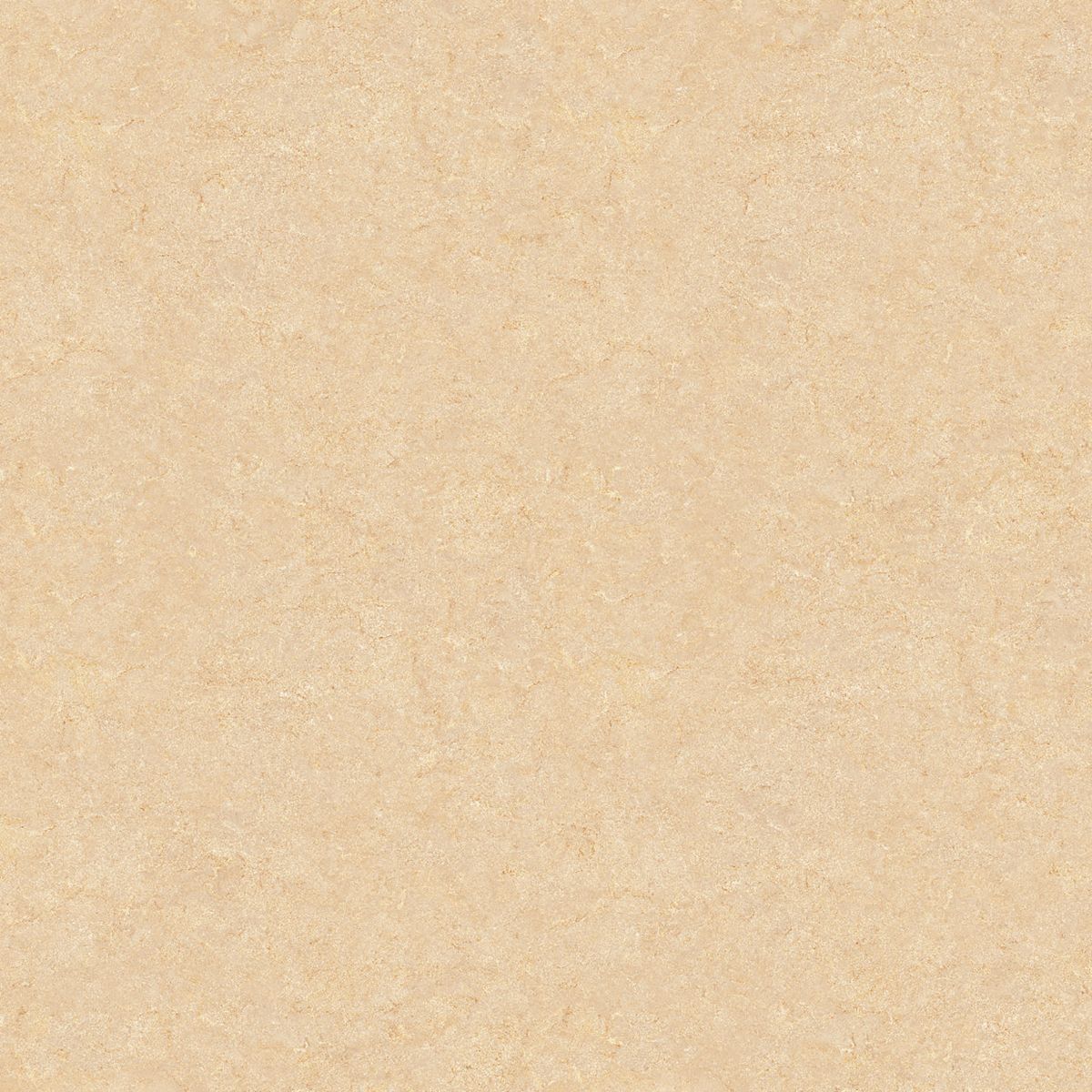 Gach-Lot-Nen,-Op-Tuong-Vitto-Ga101554,-Viet-Nam