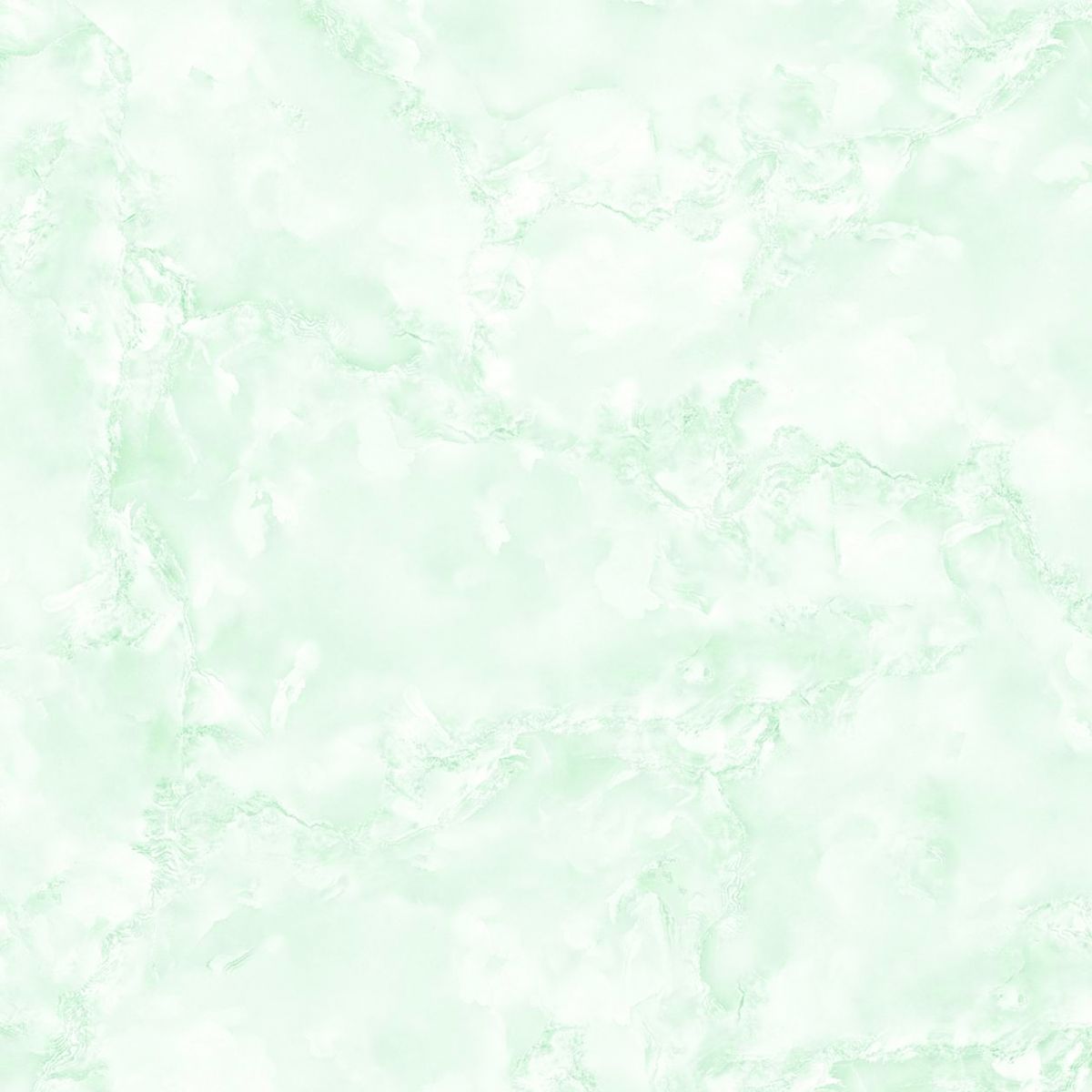 Gach-Lot-Nen,-Op-Tuong-Vitto-Ga101559,-Viet-Nam