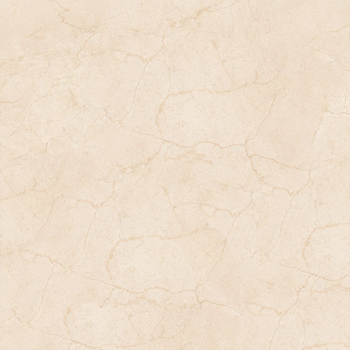 Gach-Lot-Nen,-Op-Tuong-Vitto-Ga101614,-Viet-Nam