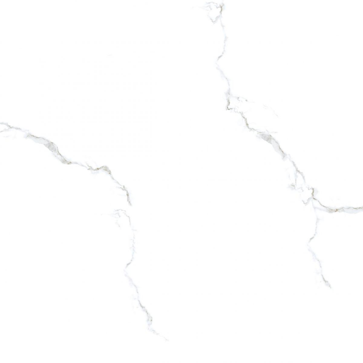 Gach-Lot-Nen,-Op-Tuong-Vitto-Ga101627,-Viet-Nam