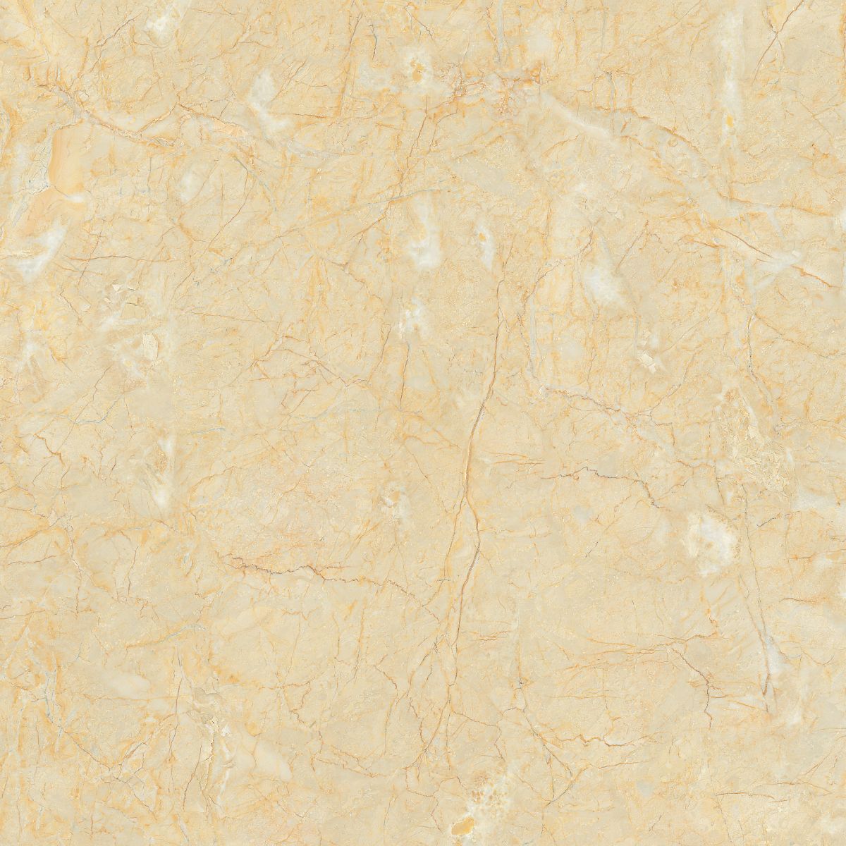 Gach-Lot-Nen,-Op-Tuong-Vitto-Ga101633,-Viet-Nam