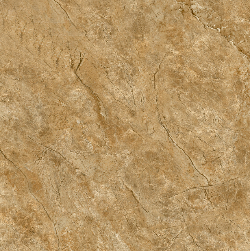 Gach-Lot-Nen,-Op-Tuong-Vitto-Ga101655,-Viet-Nam