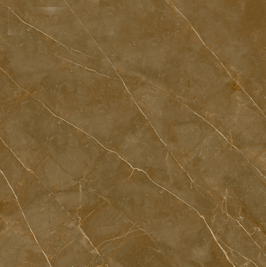 Gach-Lot-Nen,-Op-Tuong-Vitto-Ga101656,-Viet-Nam