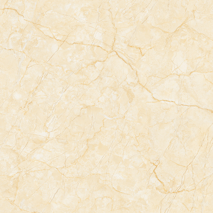 Gach-Lot-Nen,-Op-Tuong-Thanh-Long-Tasa-Ga104424,-Viet-Nam