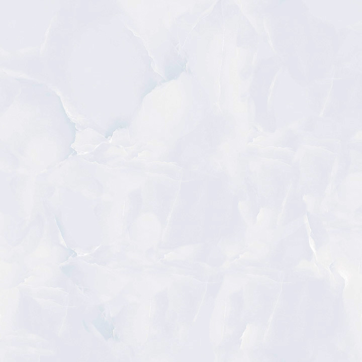 Gach-Lot-Nen,-Op-Tuong-Thanh-Long-Ga104441,-Viet-Nam